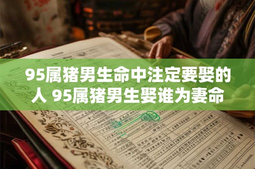 95属猪男生命中注定要娶的人 95属猪男生娶谁为妻命中有定
