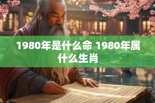 1980年是什么命 1980年属什么生肖