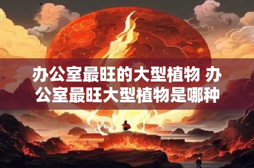 办公室最旺的大型植物 办公室最旺大型植物是哪种