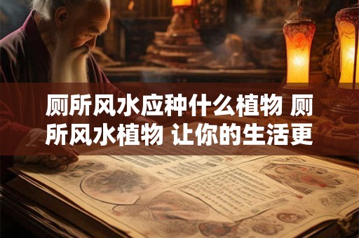 厕所风水应种什么植物 厕所风水植物 让你的生活更美好