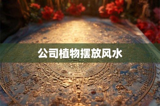 公司植物摆放风水