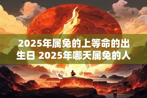 2025年属兔的上等命的出生日 2025年哪天属兔的人生于上等命 2025年属兔的上等命的出生日 2025年哪天属兔的人生于上等命