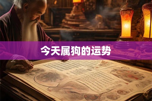 今天属狗的运势
