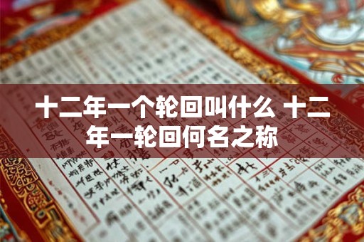 十二年一个轮回叫什么 十二年一轮回何名之称