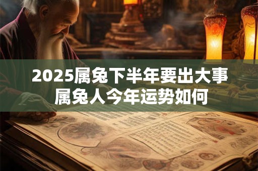 2025属兔下半年要出大事 属兔人今年运势如何