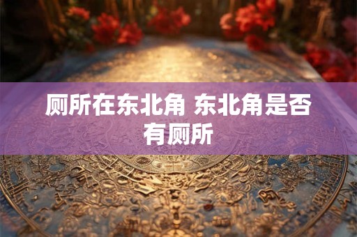 厕所在东北角 东北角是否有厕所