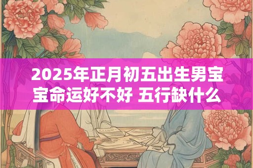 2025年正月初五出生男宝宝命运好不好 五行缺什么