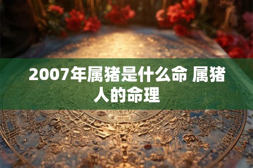 2007年属猪是什么命 属猪人的命理 2007年属猪是什么命 属猪人的命理