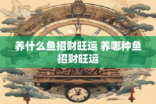 养什么鱼招财旺运 养哪种鱼招财旺运
