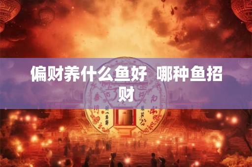 偏财养什么鱼好  哪种鱼招财