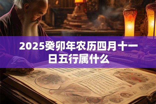 2025癸卯年农历四月十一日五行属什么
