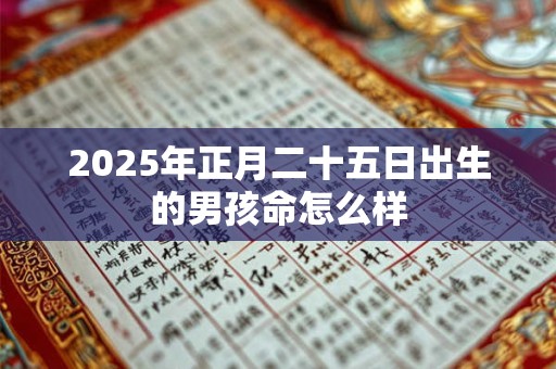 2025年正月二十五日出生的男孩命怎么样