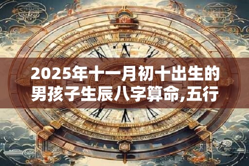 2025年十一月初十出生的男孩子生辰八字算命,五行属性