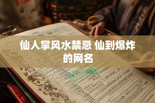 仙人掌风水禁忌 仙到爆炸的网名