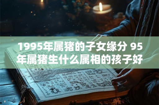 1995年属猪的子女缘分 95年属猪生什么属相的孩子好