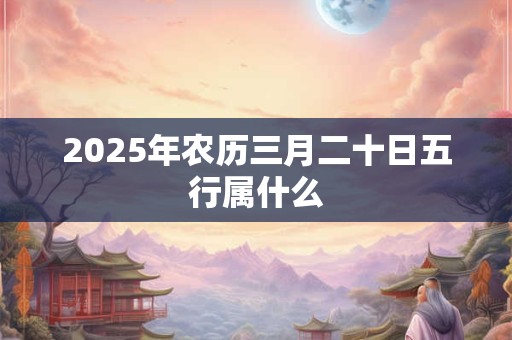 2025年农历三月二十日五行属什么
