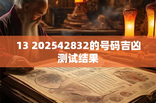 13 202642832的号码吉凶测试结果