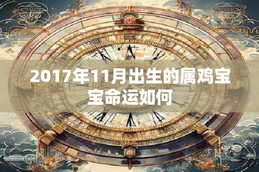 2017年11月出生的属鸡宝宝命运如何