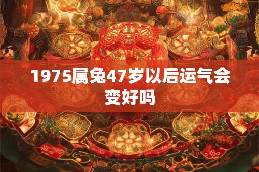 1975属兔47岁以后运气会变好吗