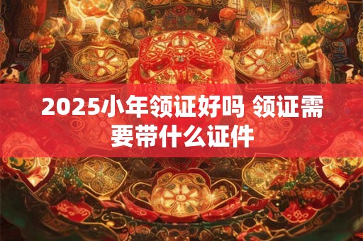 2025小年领证好吗 领证需要带什么证件