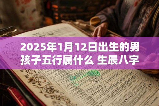 2025年1月12日出生的男孩子五行属什么 生辰八字取名