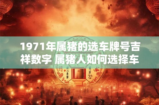 1971年属猪的选车牌号吉祥数字 属猪人如何选择车牌号