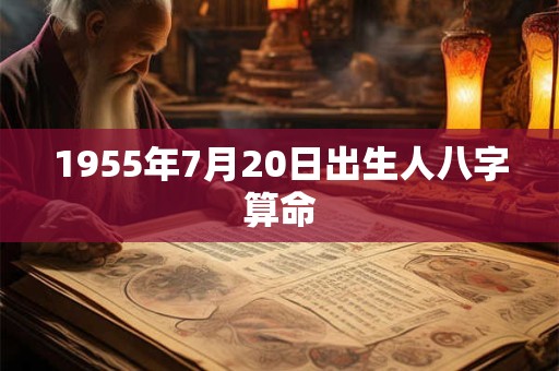 1955年7月20日出生人八字算命
