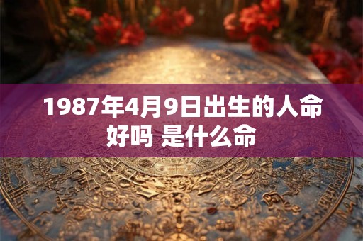 1987年4月9日出生的人命好吗 是什么命