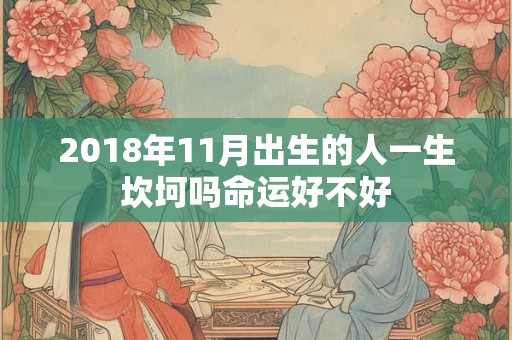 2018年11月出生的人一生坎坷吗命运好不好