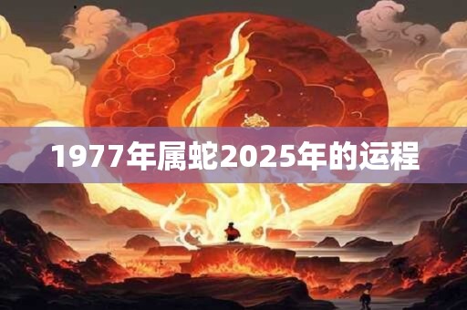 1977年属蛇2025年的运程