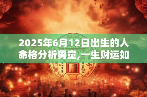 2025年6月12日出生的人命格分析男童,一生财运如何