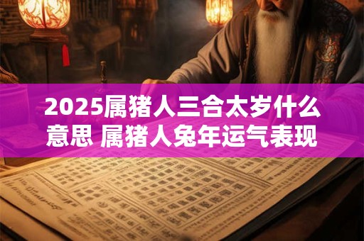 2025属猪人三合太岁什么意思 属猪人兔年运气表现怎样