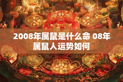 2008年属鼠是什么命 08年属鼠人运势如何