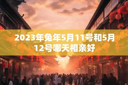 2026年兔年5月11号和5月12号哪天相亲好