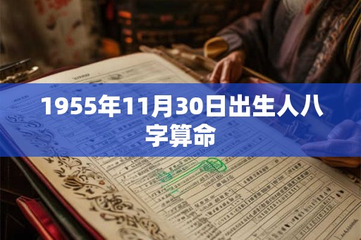 1955年11月30日出生人八字算命