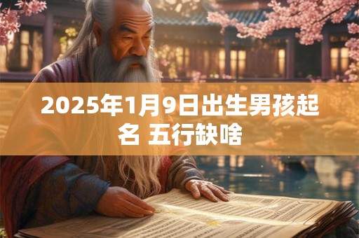 2025年1月9日出生男孩起名 五行缺啥
