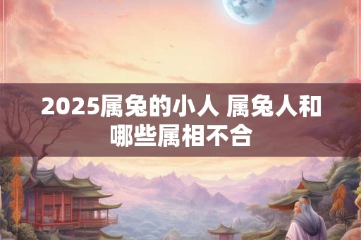 2025属兔的小人 属兔人和哪些属相不合