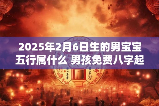 2025年2月6日生的男宝宝五行属什么 男孩免费八字起名