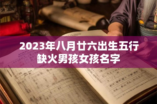 2023年八月廿六出生五行缺火男孩女孩名字