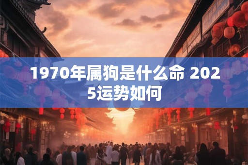 1970年属狗是什么命 2025运势如何
