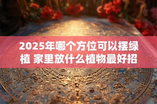 2025年哪个方位可以摆绿植 家里放什么植物最好招财又好养