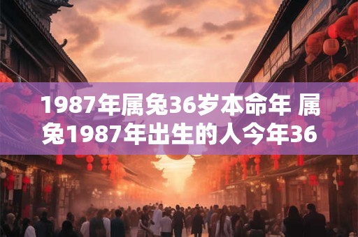1987年属兔36岁本命年 属兔1987年出生的人今年36岁本命年吗