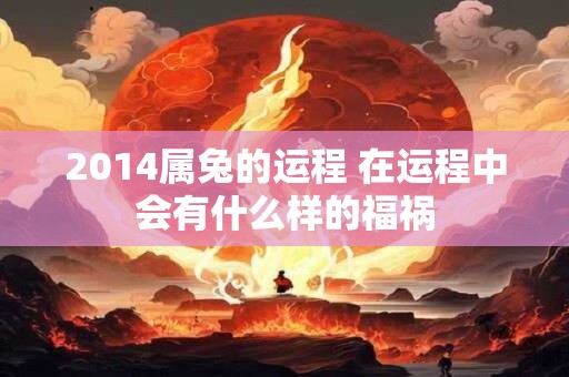 2014属兔的运程 在运程中会有什么样的福祸