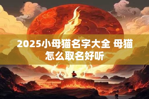 2025小母猫名字大全 母猫怎么取名好听