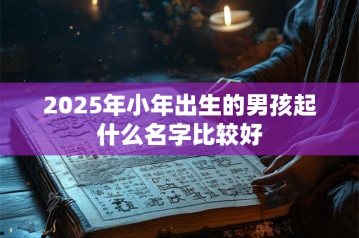 2025年小年出生的男孩起什么名字比较好