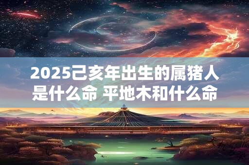 2025己亥年出生的属猪人是什么命 平地木和什么命最配