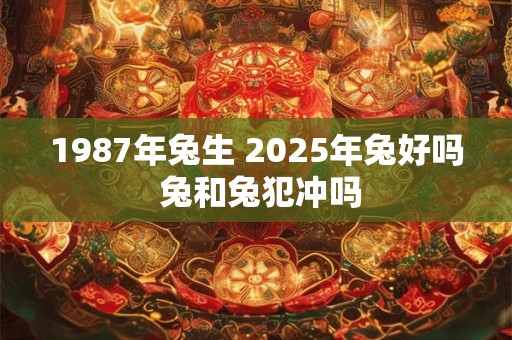 1987年兔生 2025年兔好吗 兔和兔犯冲吗