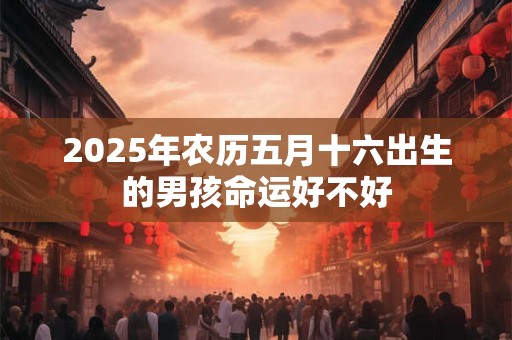 2025年农历五月十六出生的男孩命运好不好