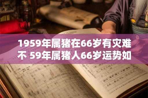 1959年属猪在66岁有灾难不 59年属猪人66岁运势如何