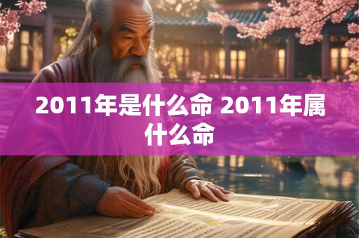 2011年是什么命 2011年属什么命